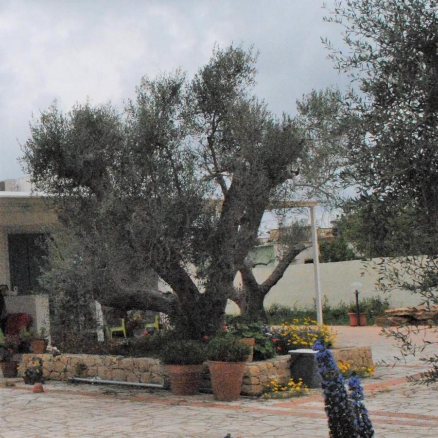 Microborgopasca Bed & Breakfast Sannicola Bagian luar foto