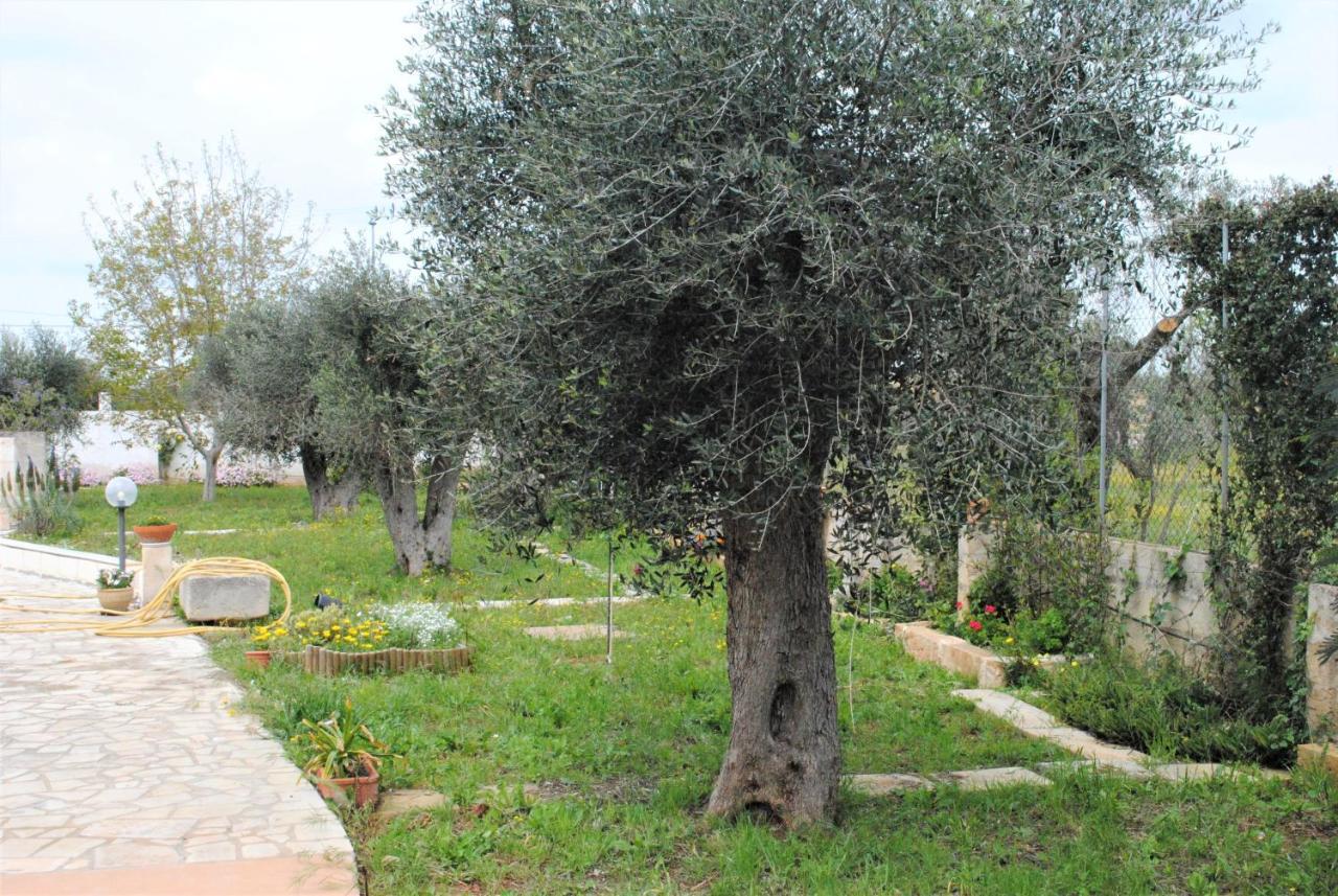 Microborgopasca Bed & Breakfast Sannicola Bagian luar foto