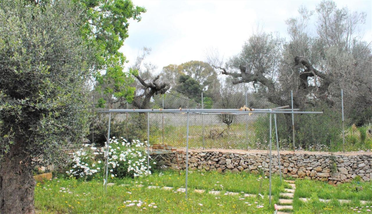 Microborgopasca Bed & Breakfast Sannicola Bagian luar foto