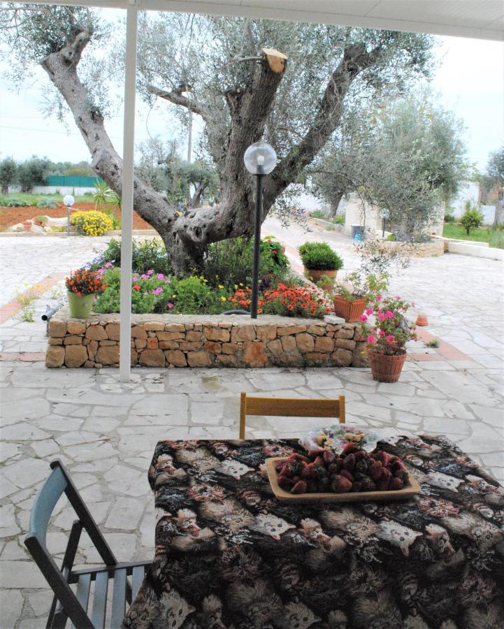Microborgopasca Bed & Breakfast Sannicola Bagian luar foto