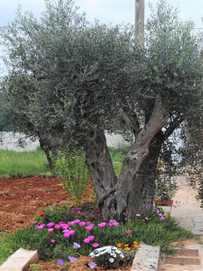 Microborgopasca Bed & Breakfast Sannicola Bagian luar foto