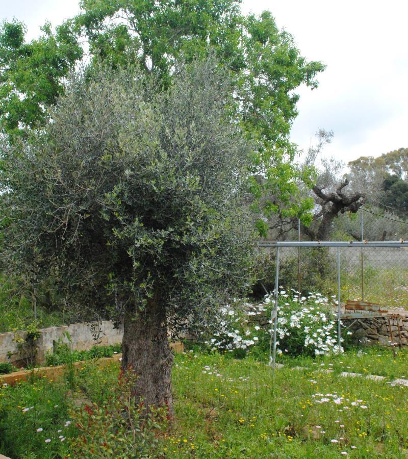 Microborgopasca Bed & Breakfast Sannicola Bagian luar foto